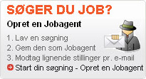 ofir job
